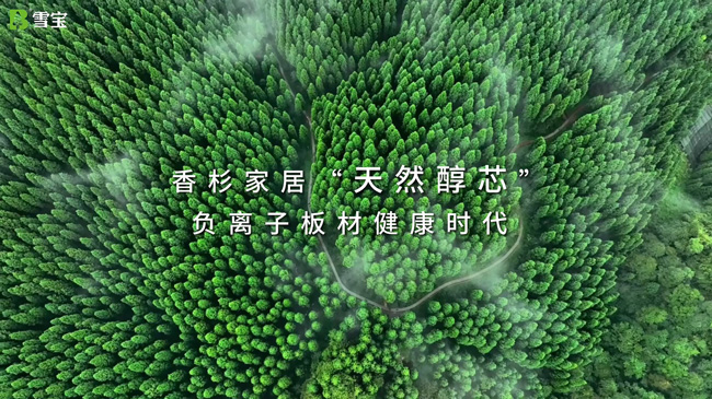 ʲôҪIľ¹